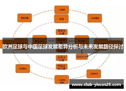 欧洲足球与中国足球发展差异分析与未来发展路径探讨