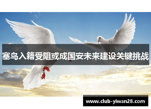 塞鸟入籍受阻或成国安未来建设关键挑战