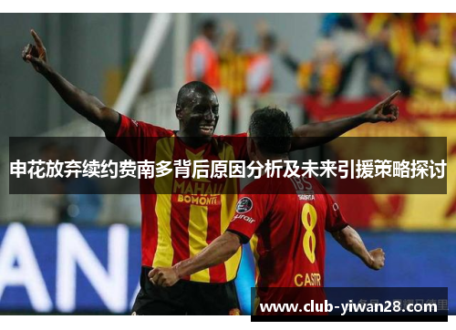 申花放弃续约费南多背后原因分析及未来引援策略探讨
