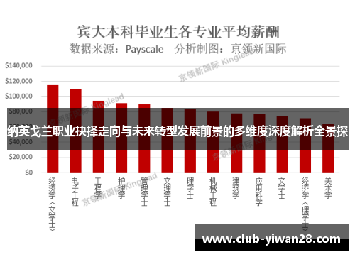纳英戈兰职业抉择走向与未来转型发展前景的多维度深度解析全景探