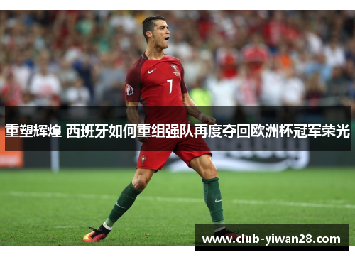 重塑辉煌 西班牙如何重组强队再度夺回欧洲杯冠军荣光